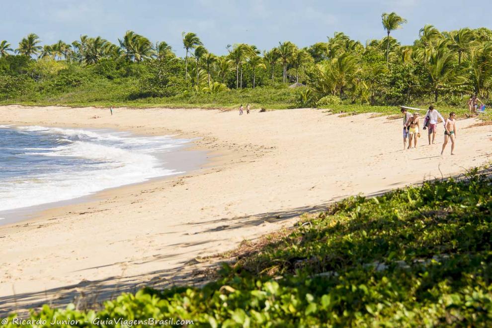 Imagem da bela vegetação na orla da Praia de Santo André.